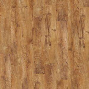 Shaw - 0225V Sumter Plus - Tropic