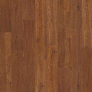 Shaw - 0225V Sumter Plus - Universal
