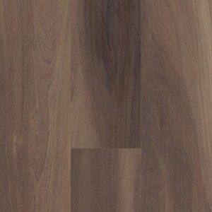 Shaw Floorte Pro Cathedral Oak 720c Plus Ravine Oak 9"