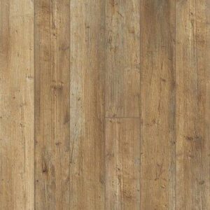 Shaw Floorte Pro Paragon 5" Plus Touch Pine 5"