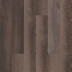 Shaw Floorte Pro Paragon 5" Plus Blackfill Oak 5"