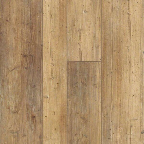 Shaw - 1021V Paragon Mix Plus - Touch Pine