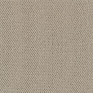 Dreamweaver Carpet Moon Bay Champagne Fizz Carpet 1228_6309