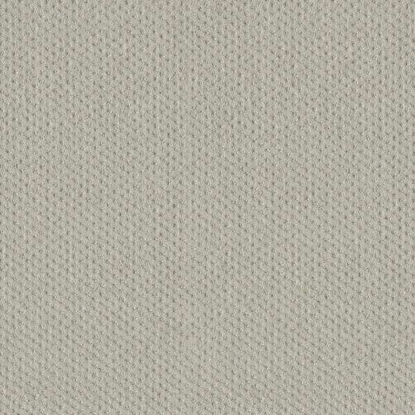Dreamweaver Carpet Moon Bay Cloud Nine Carpet 1228_6809