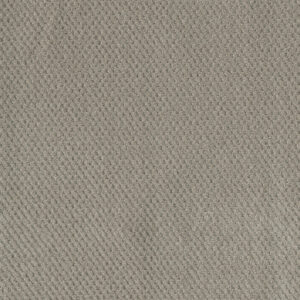 Dreamweaver Carpet Moon Bay Arrowhead Carpet 1228_6827
