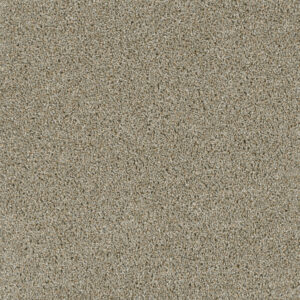 Dreamweaver Carpet Acclaim Rhinestone Carpet 1324_116