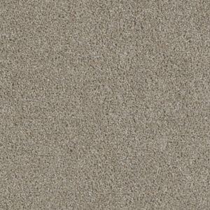 Dreamweaver Carpet Acclaim Vela Carpet 1324_164