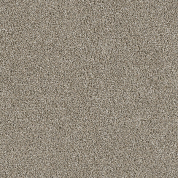 Dreamweaver Carpet Acclaim Vela Carpet 1324_164