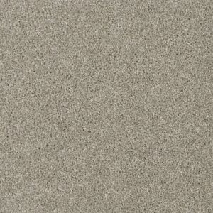 Dreamweaver Carpet Acclaim Jet Stream Carpet 1324_200