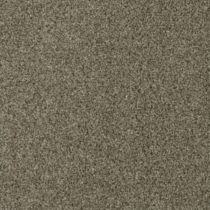 Dreamweaver Carpet Acclaim Monaco Carpet 1324_244