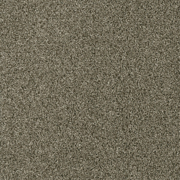 Dreamweaver Carpet Acclaim Monaco Carpet 1324_244