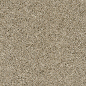 Dreamweaver Carpet Acclaim Outback Carpet 1324_298