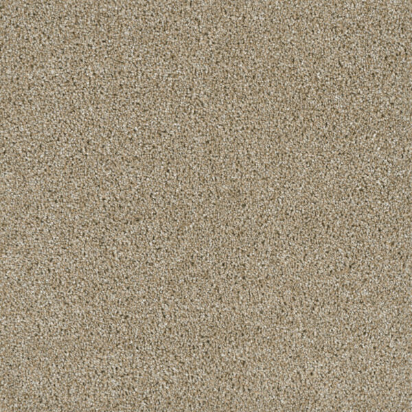 Dreamweaver Carpet Acclaim Outback Carpet 1324_298