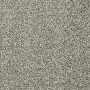 Dreamweaver Carpet Acclaim Sandy Trail Carpet 1324_495