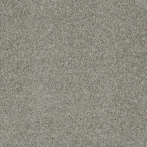 Dreamweaver Carpet Acclaim Looking Glass Carpet 1324_570