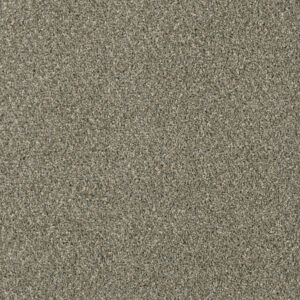 Dreamweaver Carpet Acclaim Smooth Sailing Carpet 1324_641