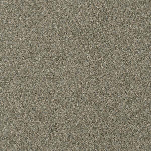 Dreamweaver Carpet Acclaim Smooth Sailing Carpet 1324_641