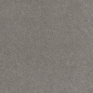 Dreamweaver Carpet Beach Club II Calypso Carpet 1430_2802