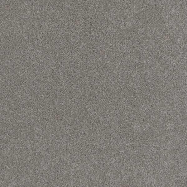 Dreamweaver Carpet Beach Club III Calypso Carpet 1540_2802