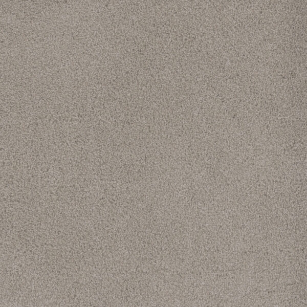 Dreamweaver Carpet Beach Club III Ivory Glow Carpet 1540_2957