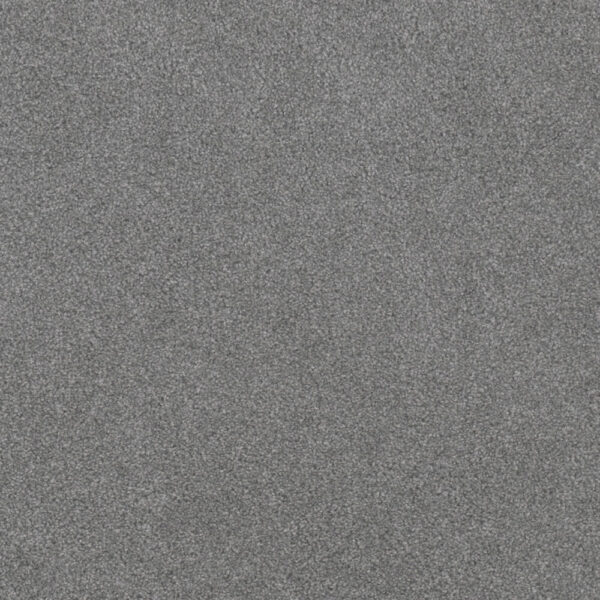Dreamweaver Carpet Beach Club II Sapphire Carpet 1430_4118