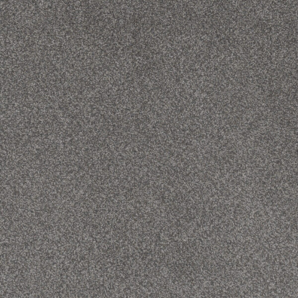 Dreamweaver Carpet Beach Club I Forget Me Not Carpet 1325_4255
