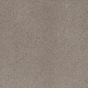 Dreamweaver Carpet Beach Club II Sahara Carpet 1430_4269