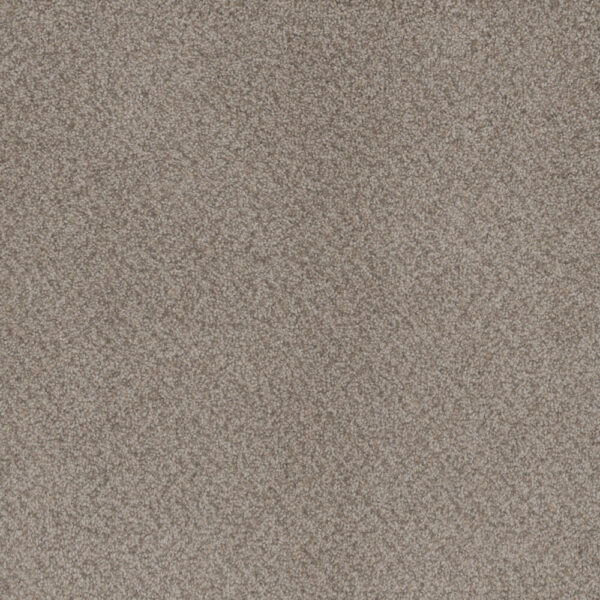 Dreamweaver Carpet Beach Club III Sahara Carpet 1540_4269