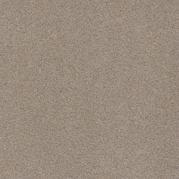 Dreamweaver Carpet Beach Club II Haystack Carpet 1430_4285