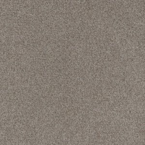 Dreamweaver Carpet Beach Club II Roman Carpet 1430_4345
