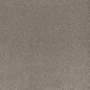 Dreamweaver Carpet Beach Club II Canyon Carpet 1430_4470