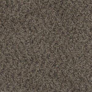Dreamweaver Carpet Step Up Rustic Charm Carpet 1420_383