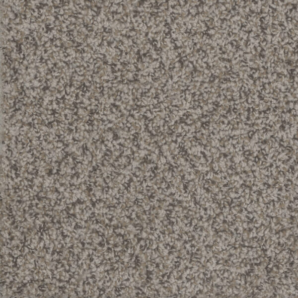 Dreamweaver Carpet Step Up Gingerbread Carpet 1420_390