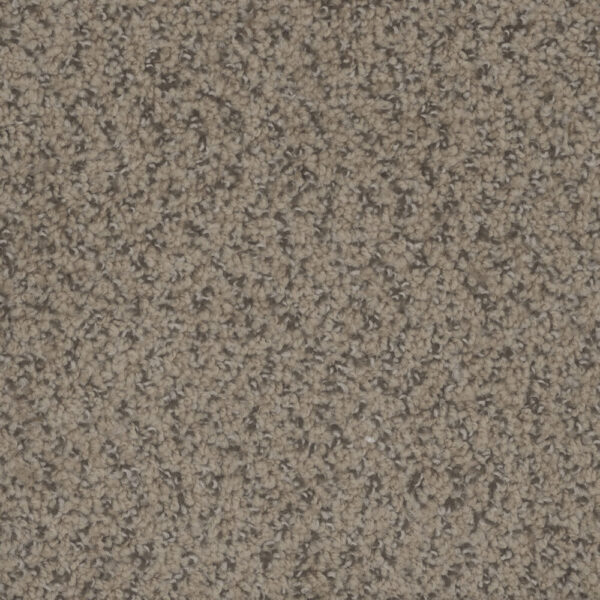 Dreamweaver Carpet Step Up Fawn Carpet 1420_759