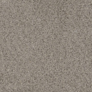 Dreamweaver Carpet Step Up Almond Carpet 1420_782