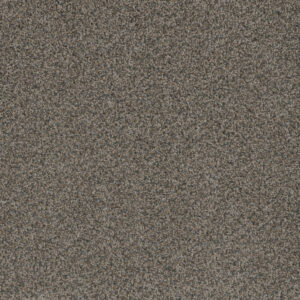 Dreamweaver Carpet Hot Pursuit Carbon Crystals Carpet 1424_255
