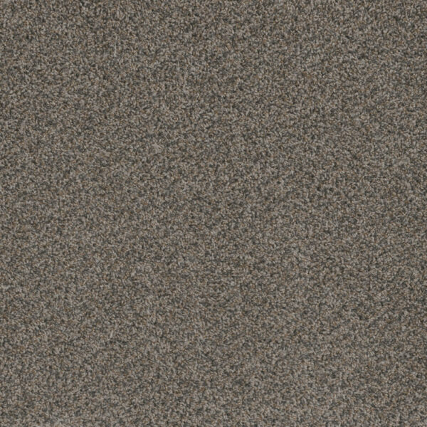 Dreamweaver Carpet Hot Pursuit Carbon Crystals Carpet 1424_255