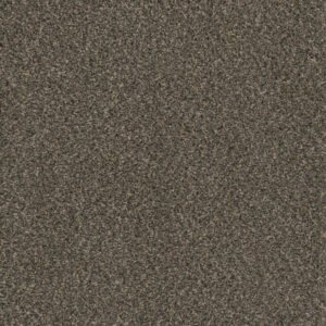 Dreamweaver Carpet Hot Pursuit Belle Grove Carpet 1424_328