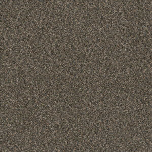 Dreamweaver Carpet Hot Pursuit Belle Grove Carpet 1424_328