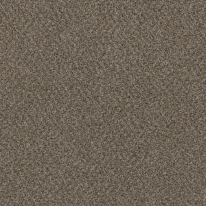 Dreamweaver Carpet Hot Pursuit Desert Jasper Carpet 1424_339