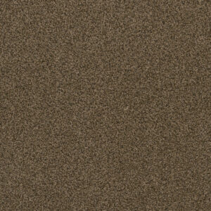 Dreamweaver Carpet Hot Pursuit Agate Carpet 1424_512