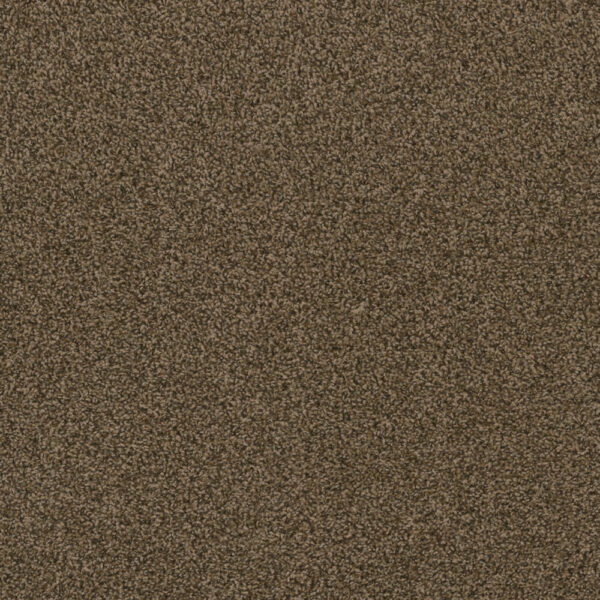 Dreamweaver Carpet Hot Pursuit Agate Carpet 1424_512