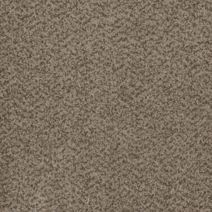 Dreamweaver Carpet Hot Pursuit Crystal Carpet 1424_537
