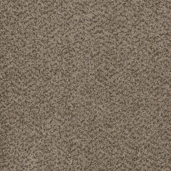 Dreamweaver Carpet Hot Pursuit Crystal Carpet 1424_537