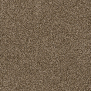 Dreamweaver Carpet Hot Pursuit Shimmer Carpet 1424_711