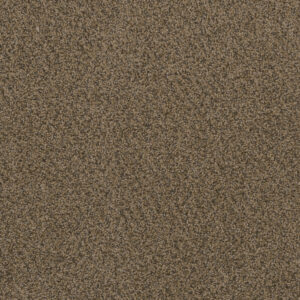 Dreamweaver Carpet Hot Pursuit Fawn Carpet 1424_759