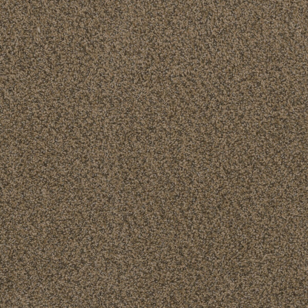 Dreamweaver Carpet Hot Pursuit Fawn Carpet 1424_759