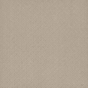 Dreamweaver Carpet Capri Champagne Fizz Carpet 1428_6309