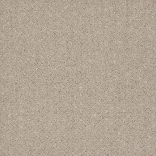 Dreamweaver Carpet Capri Champagne Fizz Carpet 1428_6309