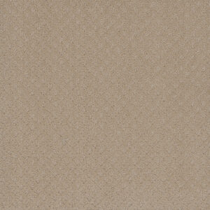 Dreamweaver Carpet Capri Soft Pine Carpet 1428_6317
